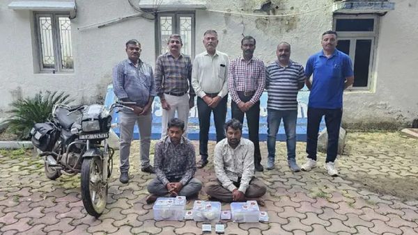 અમરેલીમાંથી 2.91 કરોડની વ્હેલ માછલીની ઉલટી સાથે બે લોકો ઝડપાયા