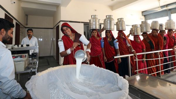 Banas Dairy Election : બનાસ ડેરીની ચૂંટણી જાહેર, જાણો ક્યારે થશે મતગણતરી?