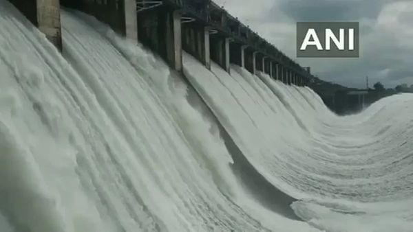 Gujarat Rain : દક્ષિણ ગુજરાતમાં નદીઓ ગાંડીતુર, ડભોઈમાં ભારે નુકસાન