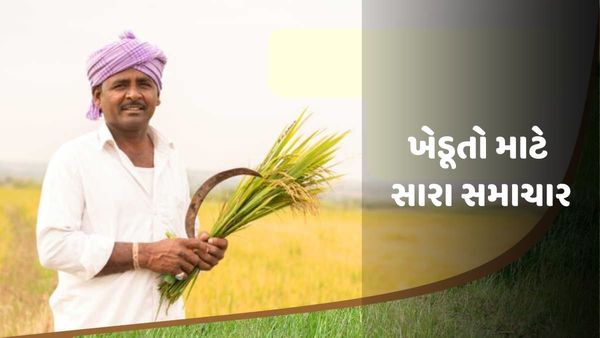 ખેડૂતો માટે સારા સમાચાર: ગુજરાતમાં રવિ પાકોનું વાવેતર શરુ થાય તે પહેલા જ ટેકાના ભાવ જાહેર