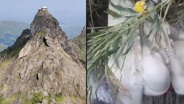 Junagadh : ગિરનાર ગોરખનાથ મૂર્તિ ખંડિત મામલે ચૌકાવનારો ખુલાસો