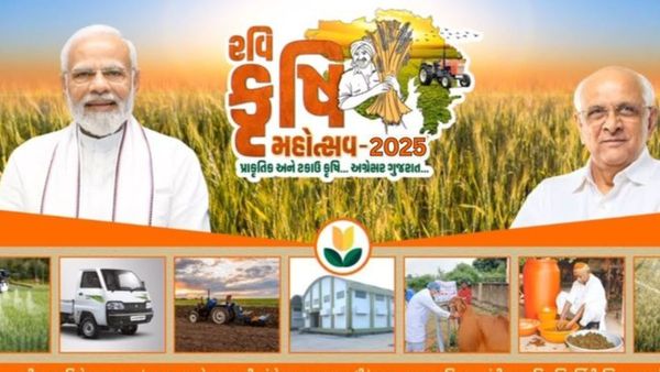 Krushi mahotsav : ગુજરામમાં આજથી બે દિવસ રવિ કૃષિ મહોત્સવ ઉજવાશે
