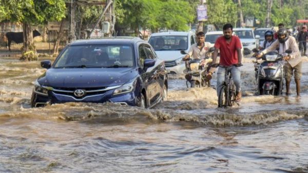 છેલ્લા 24 કલાકમાં ગુજરાતના 239 તાલુકામાં કમોસમી વરસાદ, રાજુલામાં સૌથી વધુ સાડા આઠ ઈંચ વરસાદ ખાબક્યો