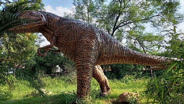 ગીર ફાઉન્ડેશન ગાંધીનગર ખાતે 2થી 8 ઓક્ટોબર દરમિયાન વન્યજીવ સપ્તાહ-૨૦૨૫ ઉજવાશે