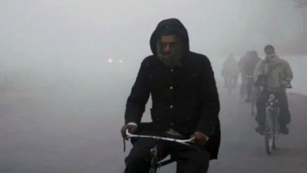 Gujarat Weather: ગુજરાતમાં ઠંડીનો ચમકારો વધ્યો, 13.2 ડિગ્રી સાથે અમરેલી સૌથી ઠંડુ શહેર બન્યું