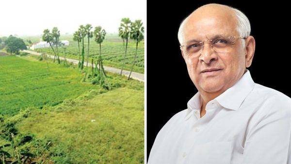 Gujarat News: રાજ્યમાં મહેસૂલી સુધારાથી નાગરિકોને ઝડપી અને પારદર્શક સેવા સુનિશ્વિત, જાણો કઈ સેવાઓ થઈ ઓનલાઇન