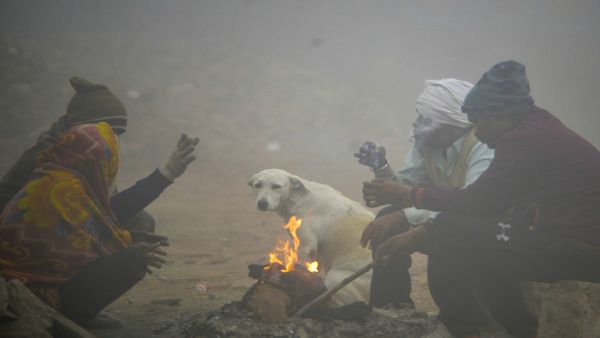 Gujarat Weather: રાજ્યનું સૌથી ઠંડુ શહેર બન્યું નલિયા, જાણો હવામાન વિભાગની આગાહી