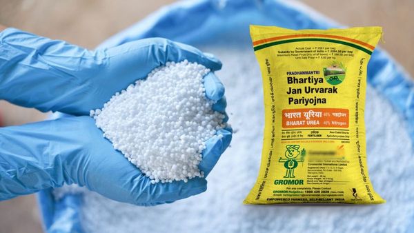 રાજ્યમાં ખાતરનો જથ્થો પૂરતા પ્રમાણમાં ઉપલબ્ધ-ગુજરાત સરકાર