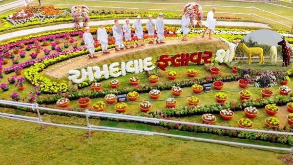 Flower Show 2026: આવતીકાલથી અમદાવાદમાં ફ્લાવર શોનો પ્રારંભ, જાણો ટિકિટના ભાવ