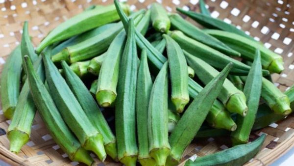 શાકભાજીની ખેતીમાં ગુજરાત અવ્વલ, ભીંડાના વાવેતર અને ઉત્પાદનમાં દેશમાં પ્રથમ ક્રમે