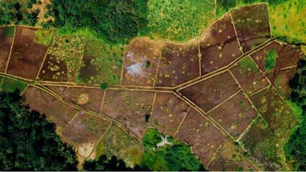 ગુજરાત સરકાર બદલવા જઈ રહી છે ખેતીની જમીન સાથે જોડાયેલા આ નિયમો