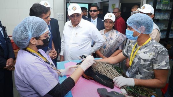 ગુજરાતમાં આવતીકાલથી કરૂણા અભિયાનનો પ્રારંભ, ઉત્તરાયણ પર્વે ઘાયલ પક્ષીઓને બચાવવા સરકાર સજ્જ