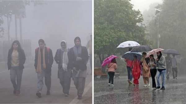 Gujarat Weather News: વેસ્ટર્ન ડિસ્ટર્બન્સને પગલે રાજ્યમાં ઠંડી અને વરસાદની હવામાન વિભાગે કરી આગાહી