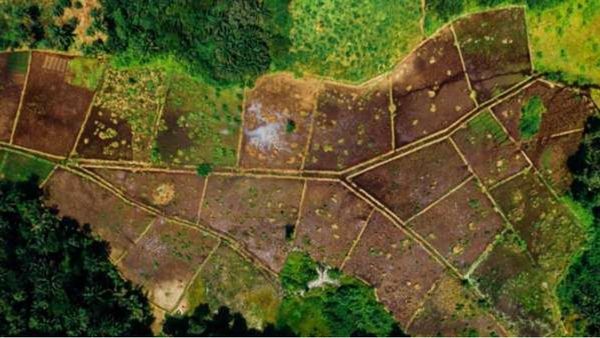 ગુજરાત સરકાર દ્વારા દસ્તાવેજોના નિયમોમાં ફેરફાર, નવી ફી લાગુ કરાઈ