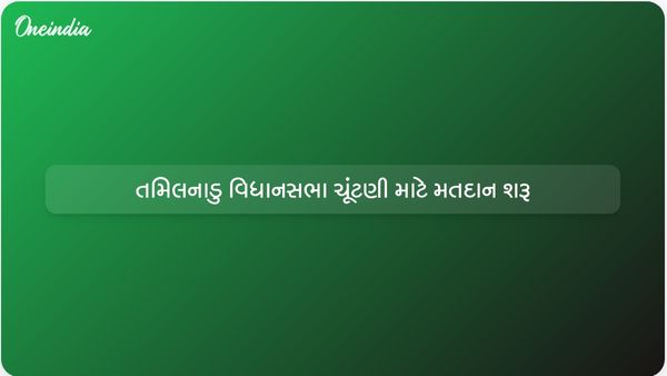તમિલનાડુ વિધાનસભા ચૂંટણીમાં મતદાન શરૂ થયું, નાગરિકો મતદાન કરવા માટે વહેલા નીકળી ગયા