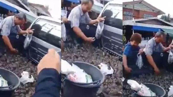 China Mouse Market Video: બટાકા-ડુંગળીની જેમ વેચાઈ રહ્યા છે જીવતા ઉંદર! થેલીઓ ભરી-ભરીને ખરીદી રહ્યા છે લોકો