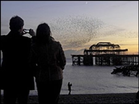 शादी का एक दिन बिकाऊ है!