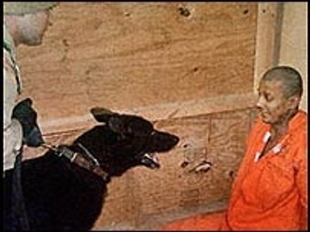 नए अवतार में अबू ग़रेब...