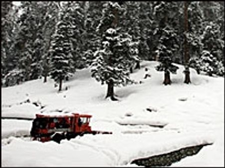 ईश निंदा में विदेशी पर्यटक हिरासत में