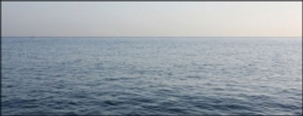 समुद्र के अम्लीय होने से ख़तरा