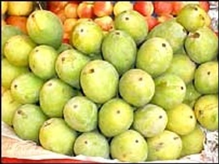 'orange' और 'jungle' में क्या समानता है?