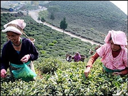 गोरखालैंड के मुद्दे पर त्रिपक्षीय वार्ता