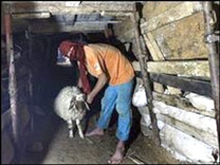 ग़ज़ा पट्टी पर स्टील की दीवार