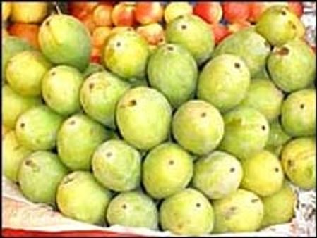 मलीहाबादी दशहरी का पेटेंट