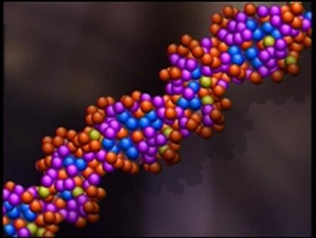 तोतलेपन के लिए जीन ज़िम्मेदार