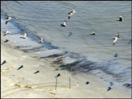 तूफ़ान के कारण दर्जनों जहाज़ खाड़ी से बाहर जाएँगे