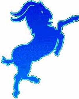 मकर राशि यानी अति महत्वाकांक्षी व्‍यक्तित्‍व