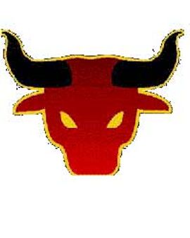 वृष्‍ा राशि वाले रखते हैं दृढ़ इच्‍छाशक्ति