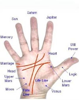 व्‍यक्तित्‍व के विकास में भी सहायक हैं रेखाएं