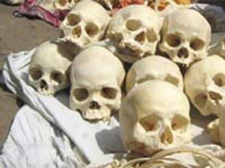 भारी मात्रा में नर कंकाल बरामद