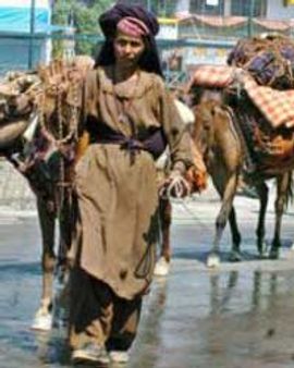 कश्मीरी गूजरों की दिलचस्पी राजस्थान में