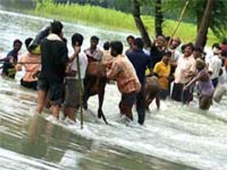 फिर तबाही मचा सकती है कोसी