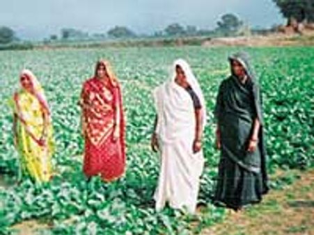 इंद्र देव नाखुश तो और बढ़ेगी महंगाई