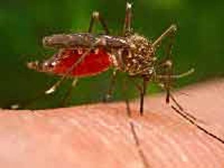 दिमागी बुखार से असम में 78 मौतें