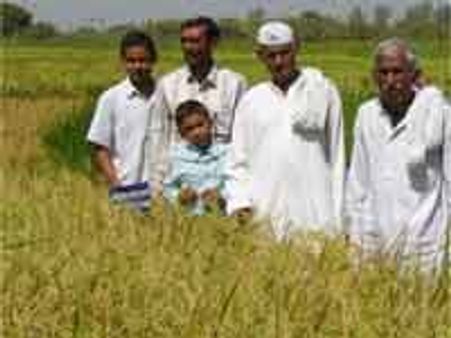 बजट से ग्रामीण खुश, मध्‍यम वर्ग निराश