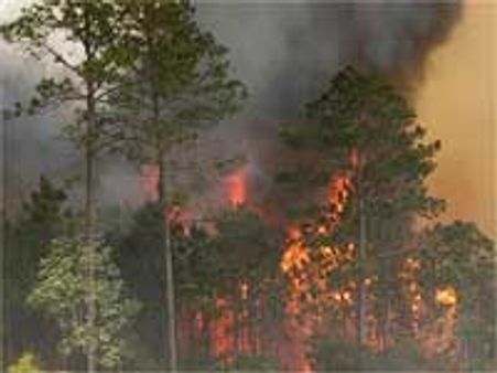 हरिद्वार: चंड़ीदेवी वन क्षेत्र में भीषण आग