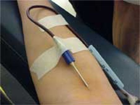 रिश्ता खून का...