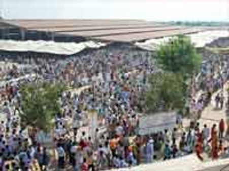 सिरसा में डेरा सच्‍चा ने फिर तोड़ा रक्‍त दान का रिकॉर्ड