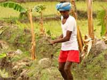 किसानों से सीधे बात करें कंपनियां : टिकैत