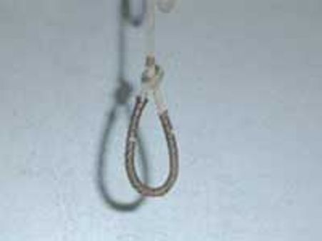 भुवनेश्वर: विधवा ने राष्ट्रपति से मांगी इच्छा मृत्यु