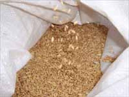 अनाज पर कानूनन हक सबका नहीं?