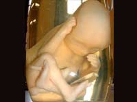 जनगणना 2011: दिल्लीवालों की पहली पसंद बेटियां नहीं बेटे