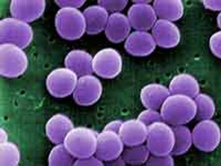 'दिल्ली के पानी में सुपरबग' के शोध को भारत ने किया खारिज