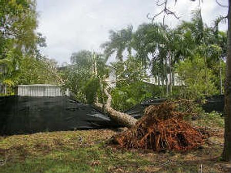 अमेरिका में तूफान से 116 की मौत