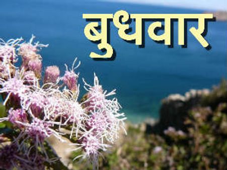 बहुमु‍खी प्रतिभा वाले होते हैं बुधवार को जन्‍में लोग