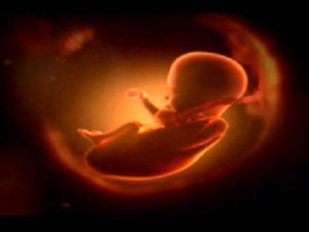 देश में एक करोड़ बीस लाख बच्चियों की हुई भ्रूण हत्या